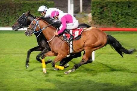 How to become a professional jockey