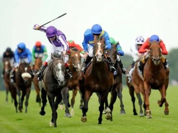 Free Spreadsheet for Horse Racing Betting